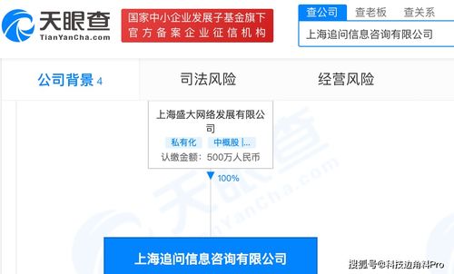 盛大網(wǎng)絡(luò)再落子 成立上海追問信息咨詢公司，注冊(cè)資本500萬元深耕信息咨詢服務(wù)